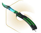 Skins Image