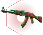 Skins Image